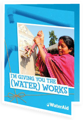 $100 can train a woman to maintain the village water supply